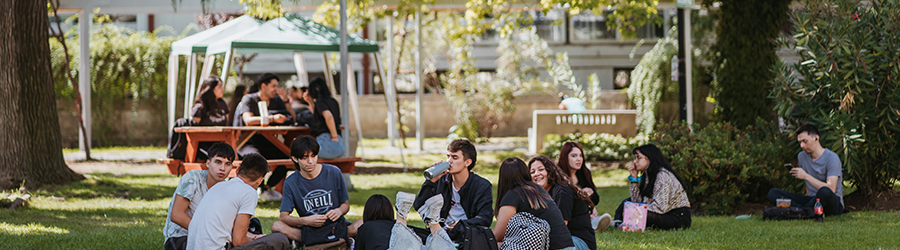 estudiantes compartiendo en los pastos de la Universidad